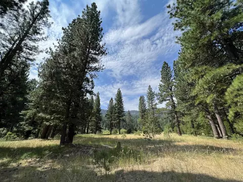 151 Boulder Dr, Clio, CA 96106 photo 7