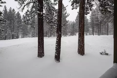 148 Basque, Truckee, CA 96161 photo 20