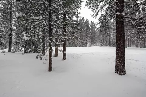 148 Basque, Truckee, CA 96161 photo 21