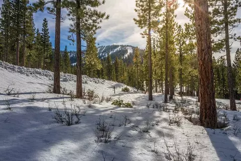 8291 Ehrman Dr, Truckee, CA 96161 photo 17