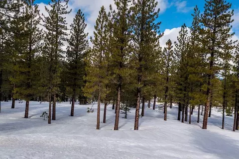 8291 Ehrman Dr, Truckee, CA 96161 photo 12