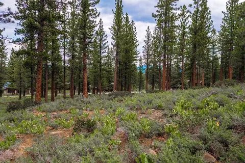 8291 Ehrman Dr, Truckee, CA 96161 photo 4