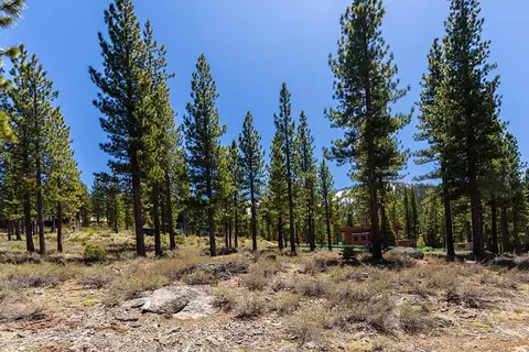 8291 Ehrman Dr, Truckee, CA 96161 photo 7
