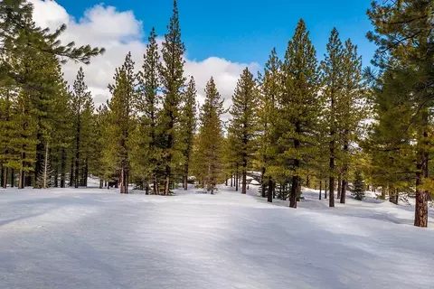 8291 Ehrman Dr, Truckee, CA 96161 photo 15