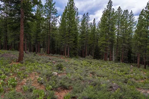 8291 Ehrman Dr, Truckee, CA 96161 photo 5
