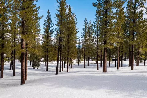 8291 Ehrman Dr, Truckee, CA 96161 photo 11