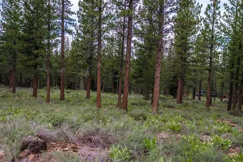 8291 Ehrman Dr, Truckee, CA 96161 photo 3