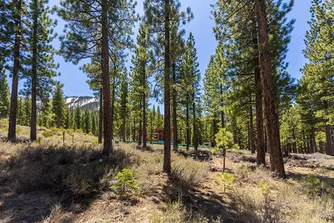 8291 Ehrman Dr, Truckee, CA 96161 photo 6
