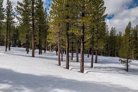 8291 Ehrman Dr, Truckee, CA 96161 photo 13