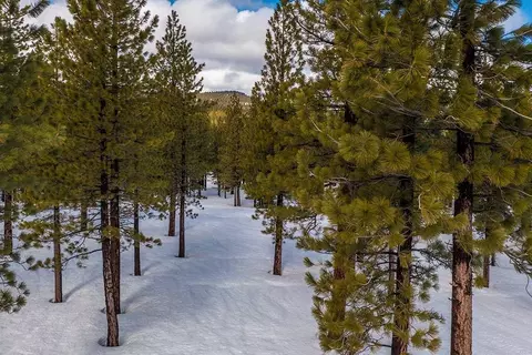 8291 Ehrman Dr, Truckee, CA 96161 photo 14
