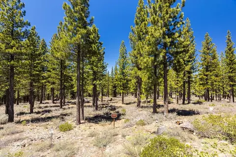 8291 Ehrman Dr, Truckee, CA 96161 photo 8