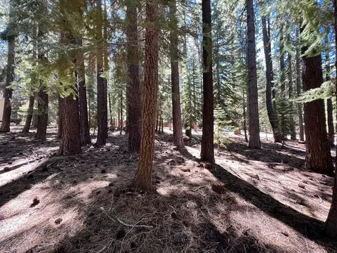 14602 Hansel Ave, Truckee, CA 96161
