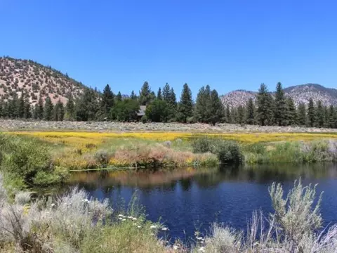 414-250 Scott Rd, Hallelujah Junction, CA 96105 photo 20