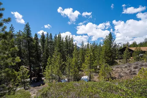 14601 Reed Ave, Truckee, CA 96161 photo 9