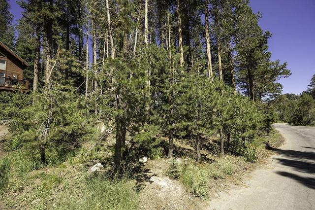 9339 Pahatsi Rd, Soda Springs, CA 95728