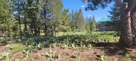12495 Springbrook Pl, Truckee, CA 96161