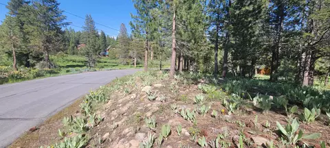 12495 Springbrook Pl, Truckee, CA 96161 photo 3
