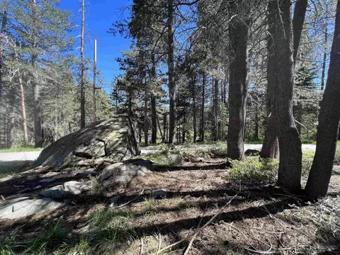 50486 Conifer Dr, Soda Springs, CA 95728