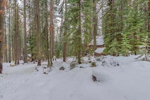 51155 Jeffery Pine Dr, Soda Springs, CA 95728