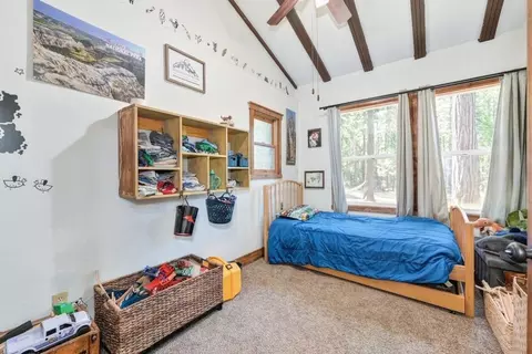 620 Sugar Pine Rd, Alta, CA 95701 photo 11