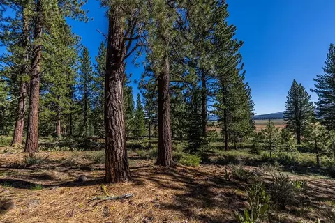 13281 Snowshoe Thompson Cir, Truckee, CA 96161
