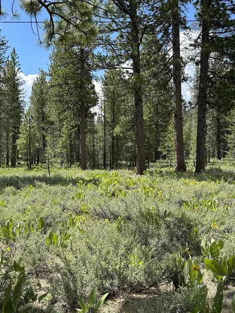 10511 Silverado Way, Truckee, CA 96161