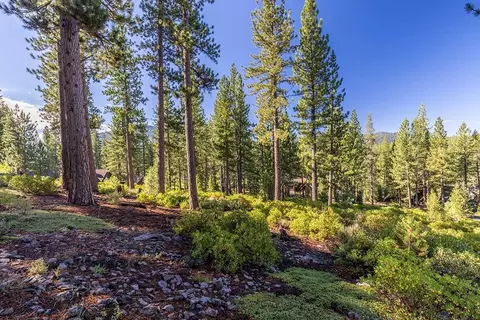 8632 Lloyd Tevis, Truckee, CA 96161 photo 3