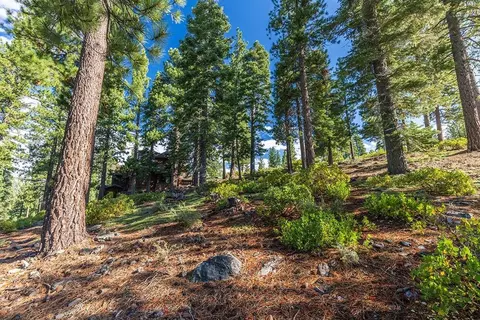 8632 Lloyd Tevis, Truckee, CA 96161 photo 7
