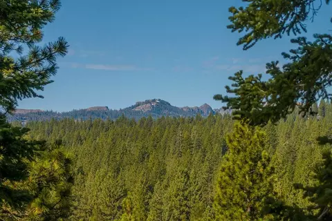 8632 Lloyd Tevis, Truckee, CA 96161 photo 2