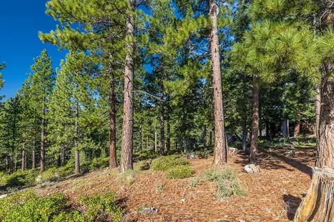 8632 Lloyd Tevis, Truckee, CA 96161 photo 6