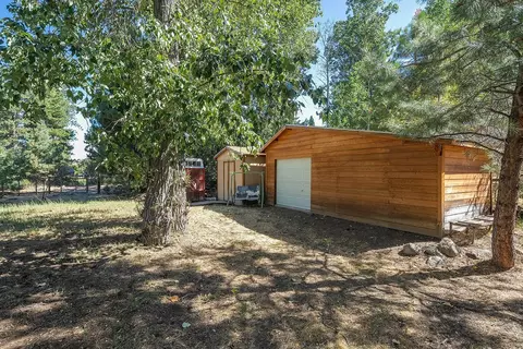 625 Bear Valley Rd, Loyalton, CA 96118 photo 13