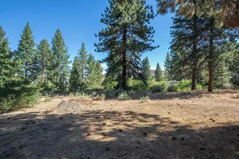 625 Bear Valley Rd, Loyalton, CA 96118 photo 12