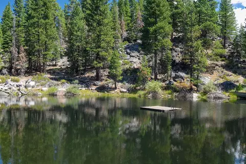 99 Catfish Ln, Calpine, CA 96124 photo 6