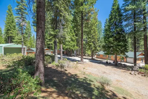 99 Catfish Ln, Calpine, CA 96124 photo 19