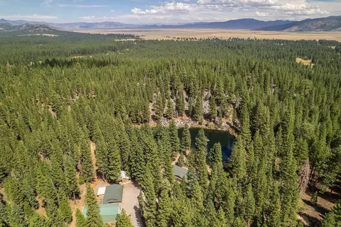 99 Catfish Ln, Calpine, CA 96124 photo 20