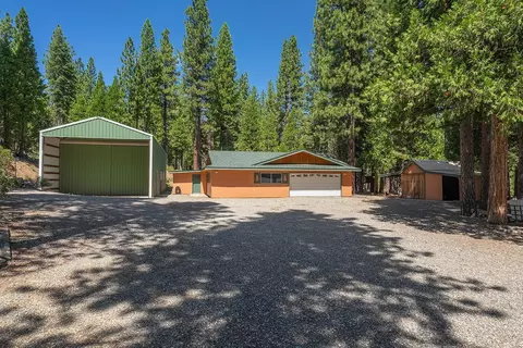 99 Catfish Ln, Calpine, CA 96124 photo 17