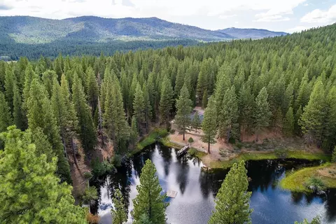 99 Catfish Ln, Calpine, CA 96124 photo 21