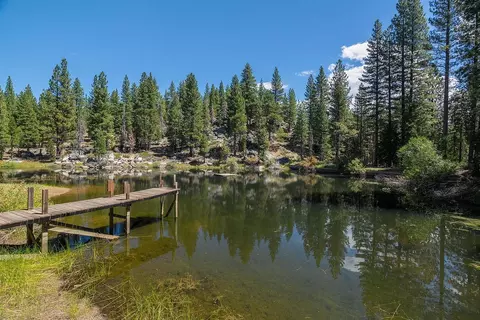 99 Catfish Ln, Calpine, CA 96124 photo 3