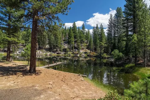 99 Catfish Ln, Calpine, CA 96124 photo 7