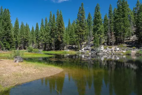 99 Catfish Ln, Calpine, CA 96124 photo 5