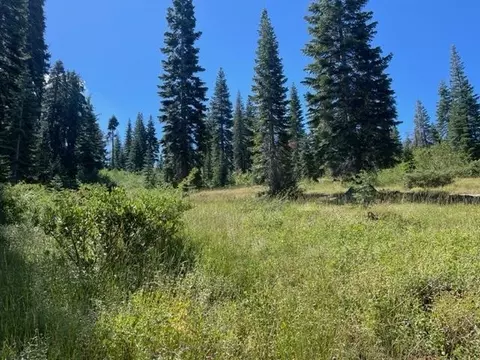 000 Bucks Lake Rd, Bucks Lake, CA 95971