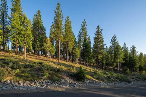 58 S Ridge Rd, Portola, CA 96122