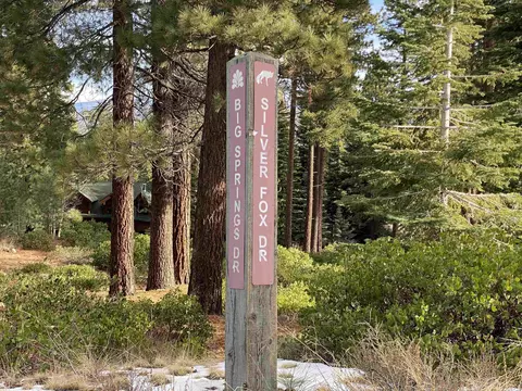 2225 Silver Fox Ct, Truckee, CA 96161 photo 2