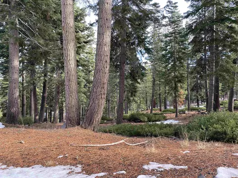 2225 Silver Fox Ct, Truckee, CA 96161 photo 6