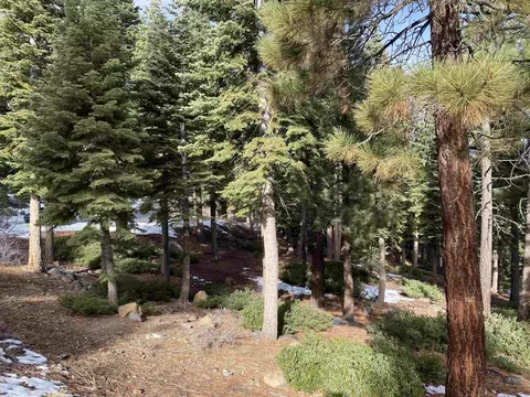 2225 Silver Fox Ct, Truckee, CA 96161 photo 7