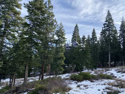2225 Silver Fox Ct, Truckee, CA 96161 photo 9