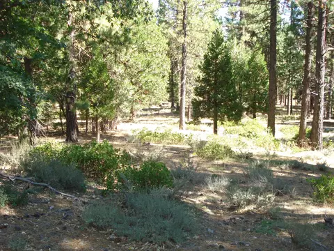 455 C Rd, Clio, CA 96106 photo 11