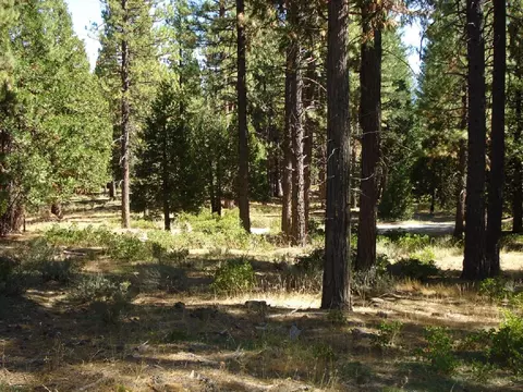 455 C Rd, Clio, CA 96106 photo 10