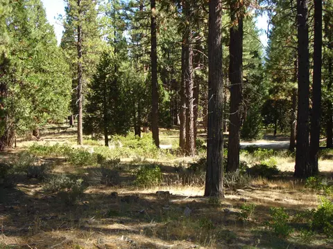 455 C Rd, Clio, CA 96106 photo 9