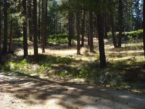 455 C Rd, Clio, CA 96106 photo 5